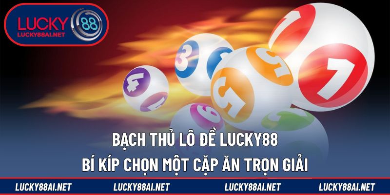 Bạch thủ lô đề