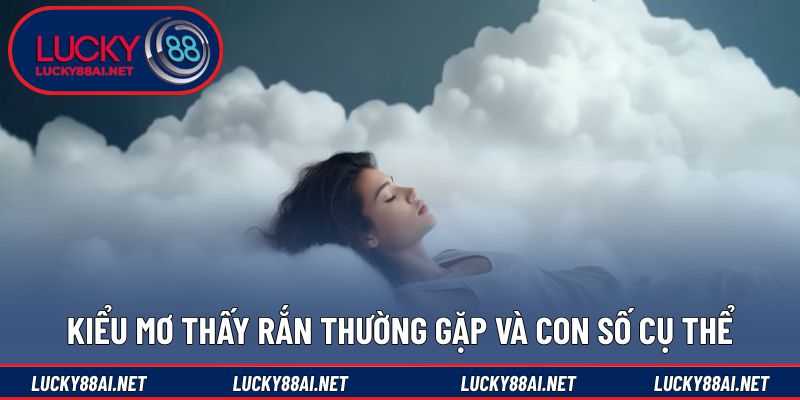 Các trường hợp mơ gặp rắn cùng con số liên quan