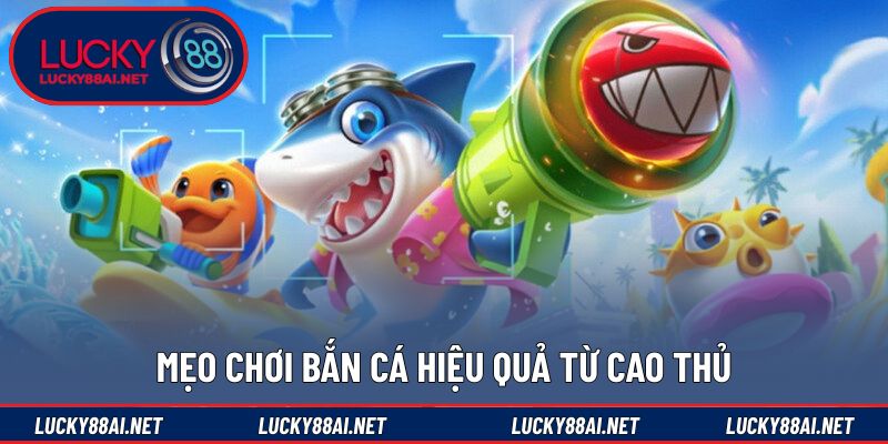 Cách bắn cá hiệu quả từ những cao thủ hàng đầu