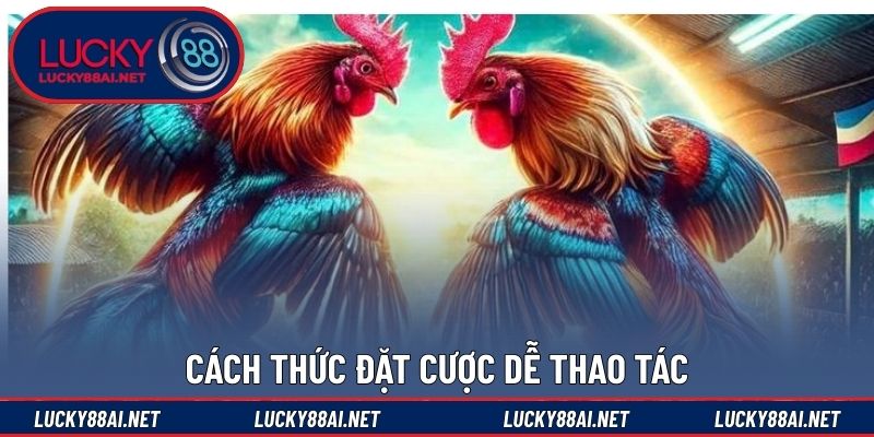 Cách thức đặt cược dễ thao tác