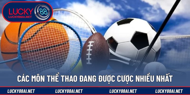 Danh sách bộ môn được quan tâm nhiều hiện nay