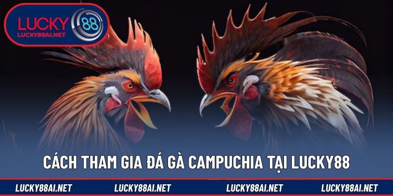 Hướng dẫn tham gia đá gà trực tuyến từng bước