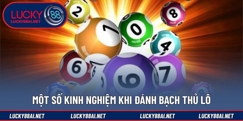 Kinh nghiệm thực tế giúp áp dụng bạch thủ lô hiệu quả