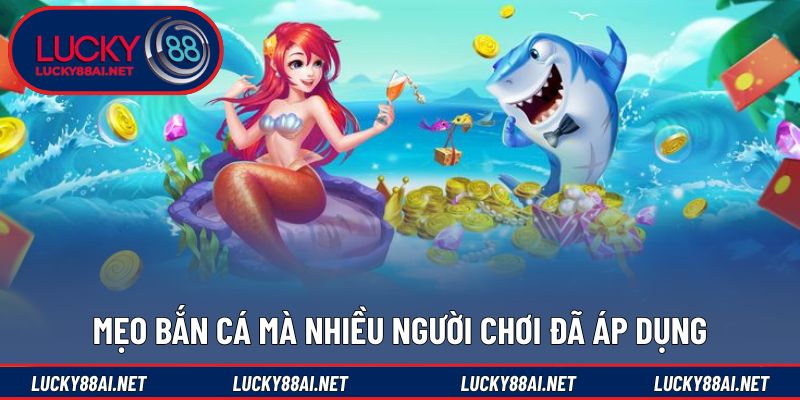 Một số kinh nghiệm giúp tối ưu hiệu quả khi tham gia