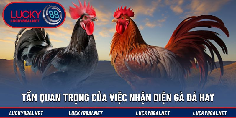 Nhận biết đúng giúp nâng cao hiệu quả thi đấu